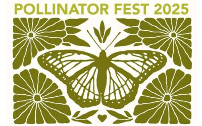 Celebrate Pollinators at Sammamish Valley Pollinator Fest at 21 Acres