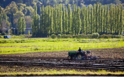 Earth Day Reflections from Hollywood Manor: Celebrating the Sammamish Valley and Our Local Farms