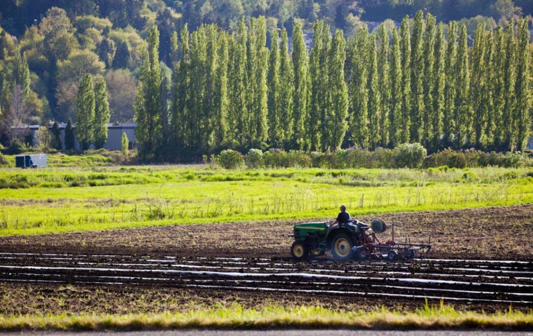 Farming in the Sammamish Valley near Woodinville
