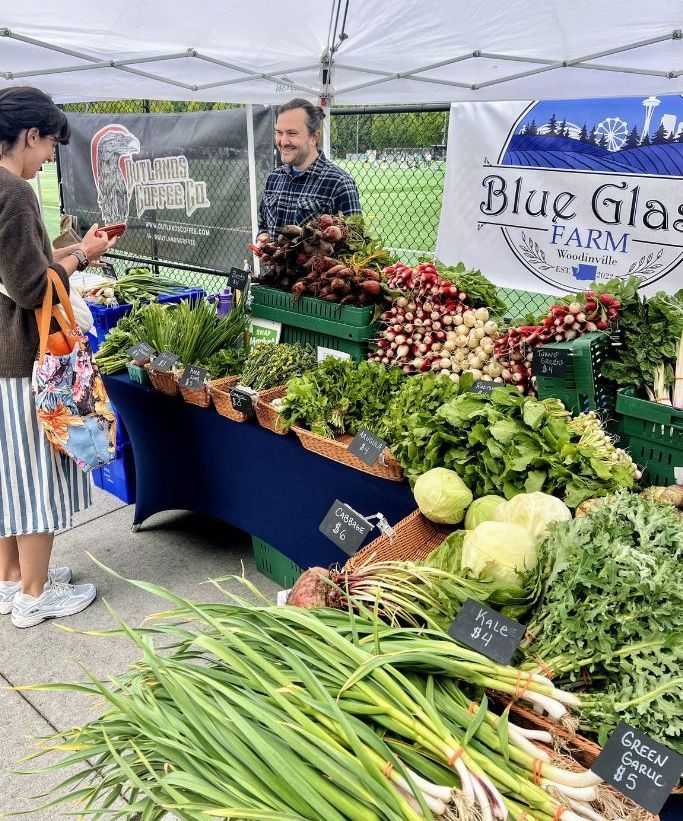 Pollinators love Lupine